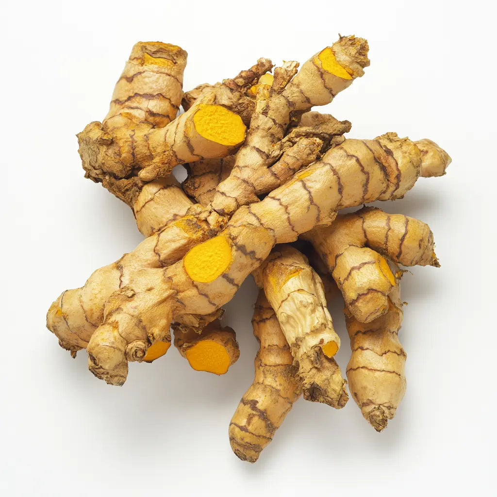 Curcuma-longa-Une-Approche-Innovante-Contre-les-Maladies-Hépatobiliaires-Basées-sur-l-Axe-Intestin-Foie Supfeed