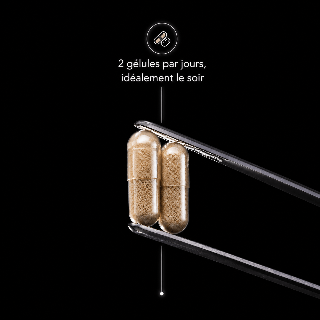 Ashwagandha  - 120 gélules Supfeed